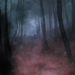 pic for Forest Fog